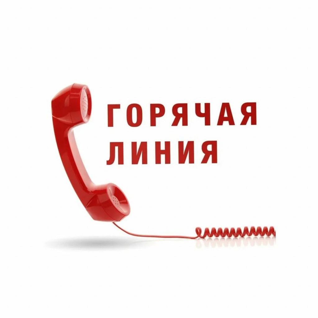 Горячая линия по вопросу АЧС.