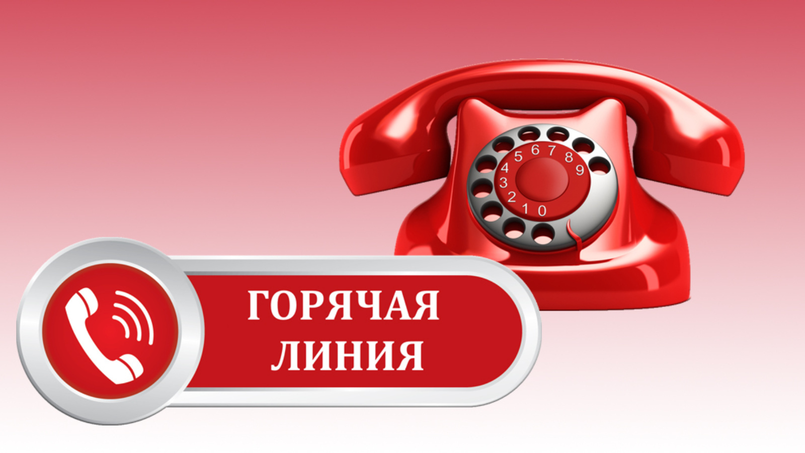 Телефоны горячей линии.
