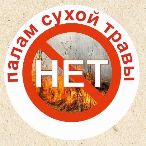 «Нет весенним палам».