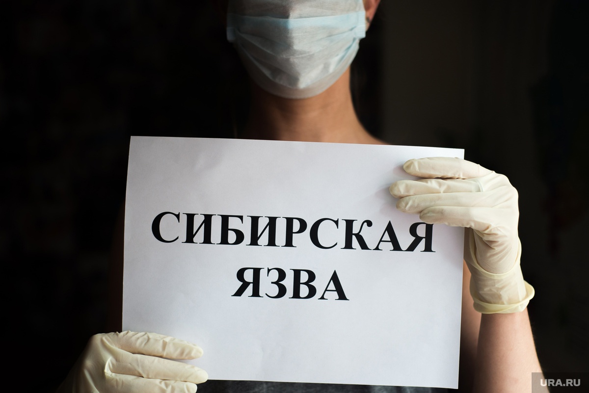 Памятка по сибирской язве.