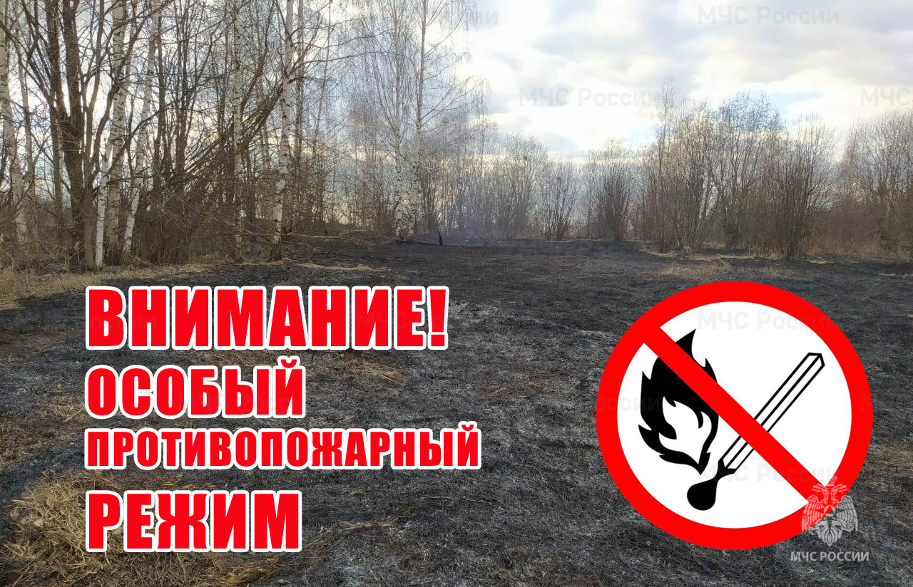 С 15 апреля 2025 года на территории Воронежской области вводится особый противопожарный режим..